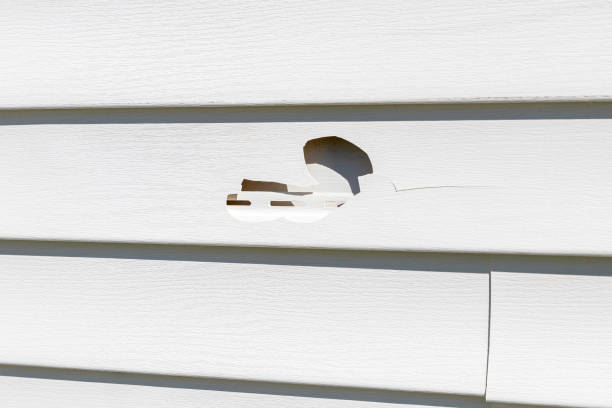 Reliable La Vergne, TN Siding Solutions